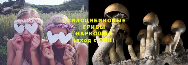 стафф Алзамай