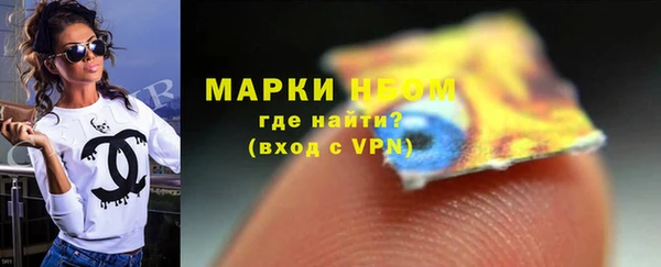 прущие грибы Новозыбков