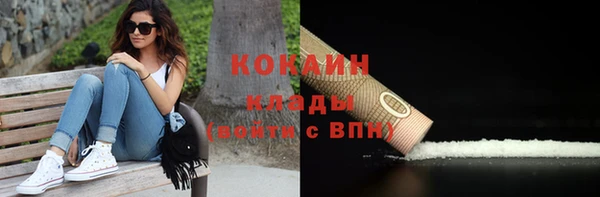 прущие грибы Новозыбков