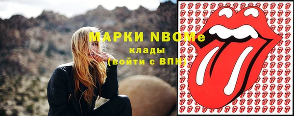 метадон Алексин