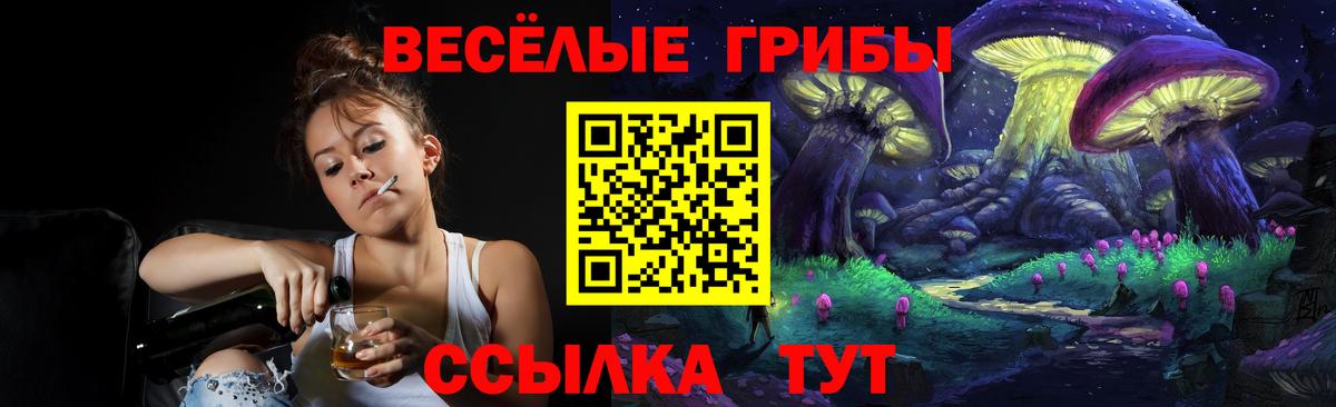 Йошкар-Ола  Псилоцибиновые грибы ЛСД  Вход с VPN 